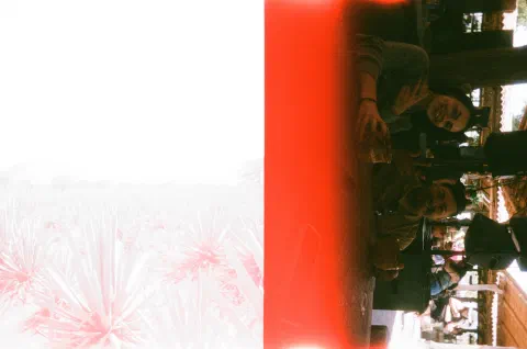 Pics photo
