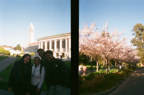 Pics photo