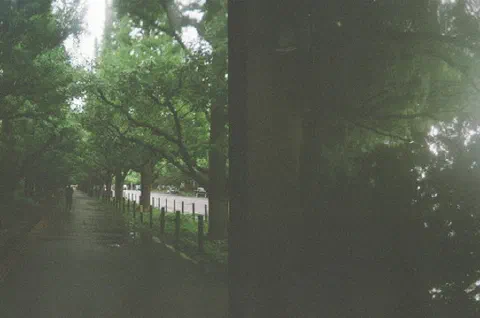 Pics photo